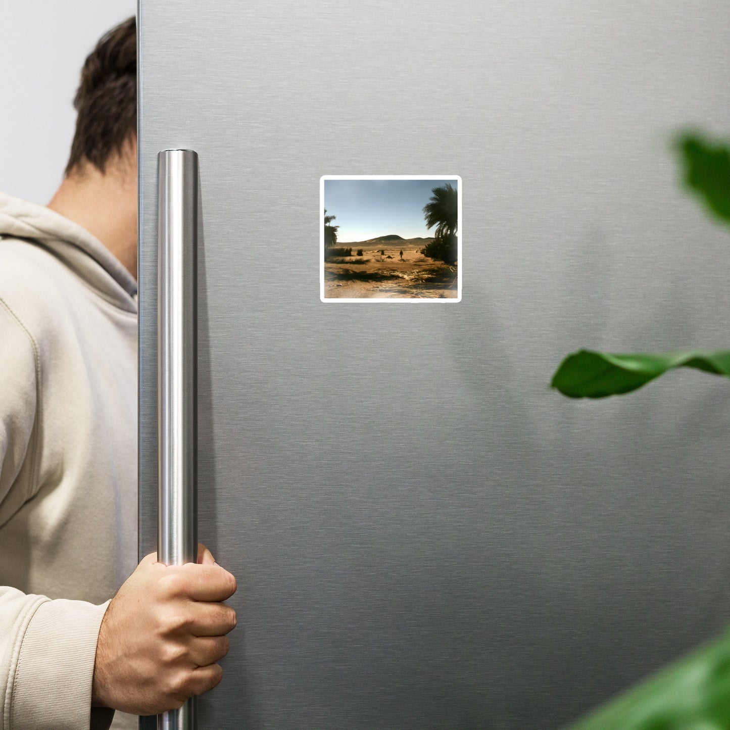 Magnet