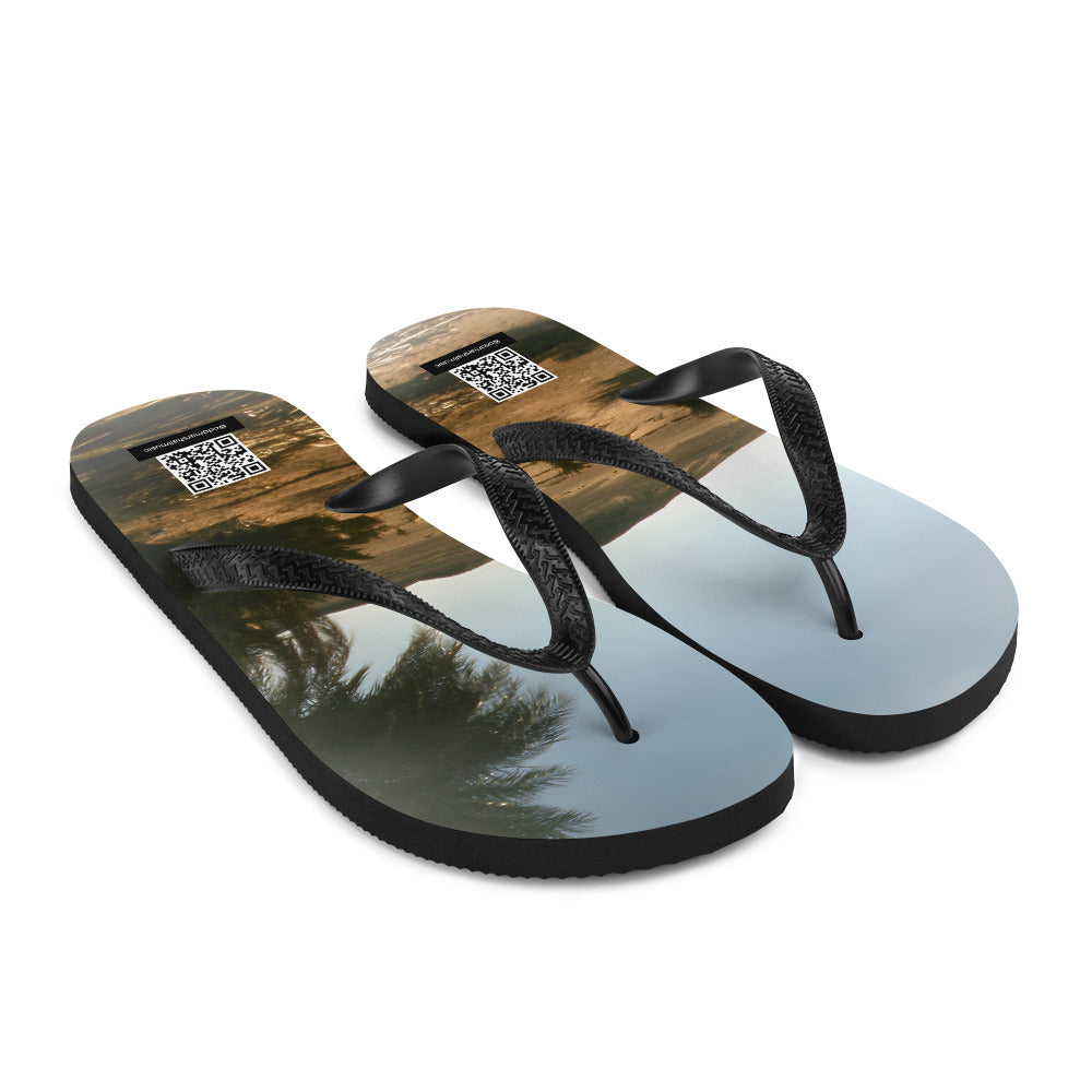 Flip-Flops