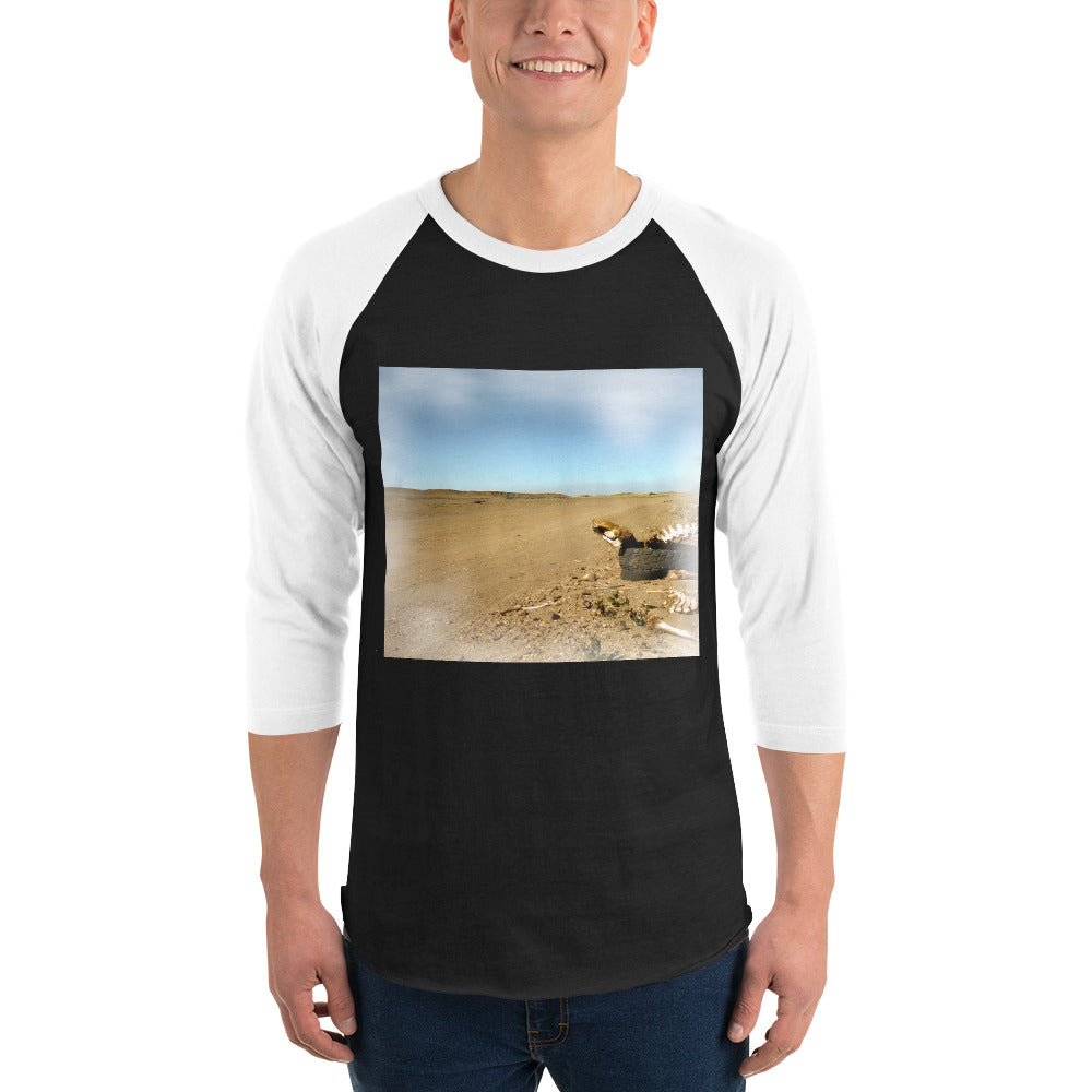 3/4 sleeve raglan shirt