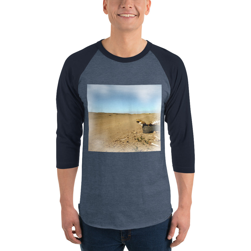 3/4 sleeve raglan shirt