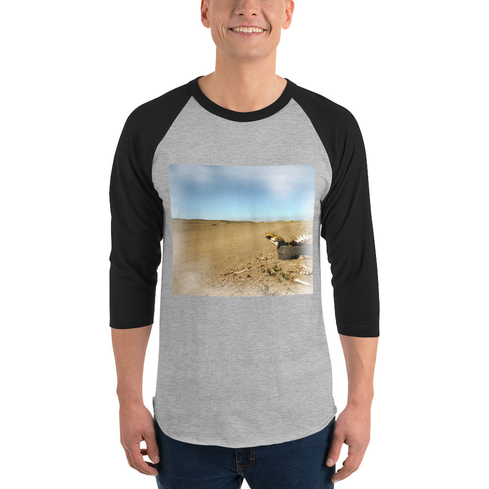 3/4 sleeve raglan shirt