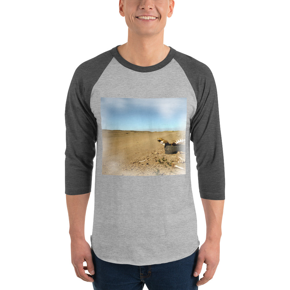 3/4 sleeve raglan shirt