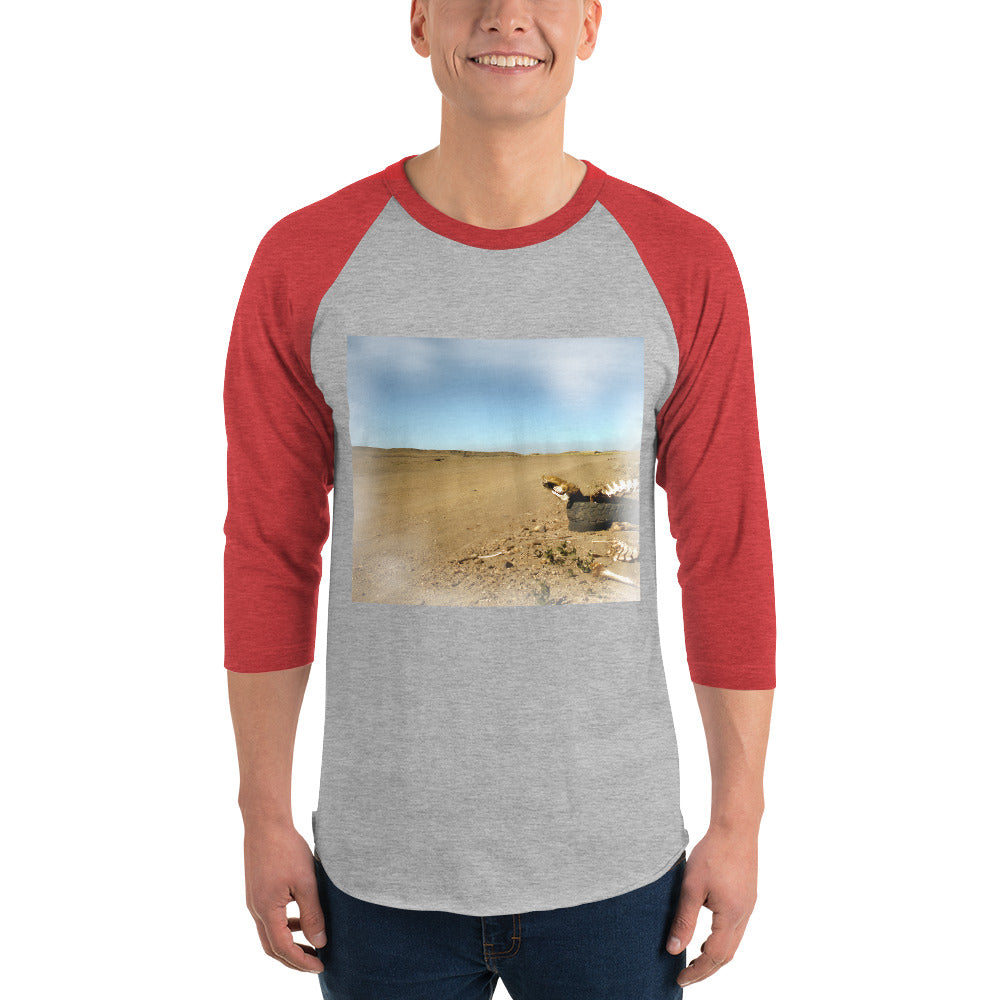 3/4 sleeve raglan shirt