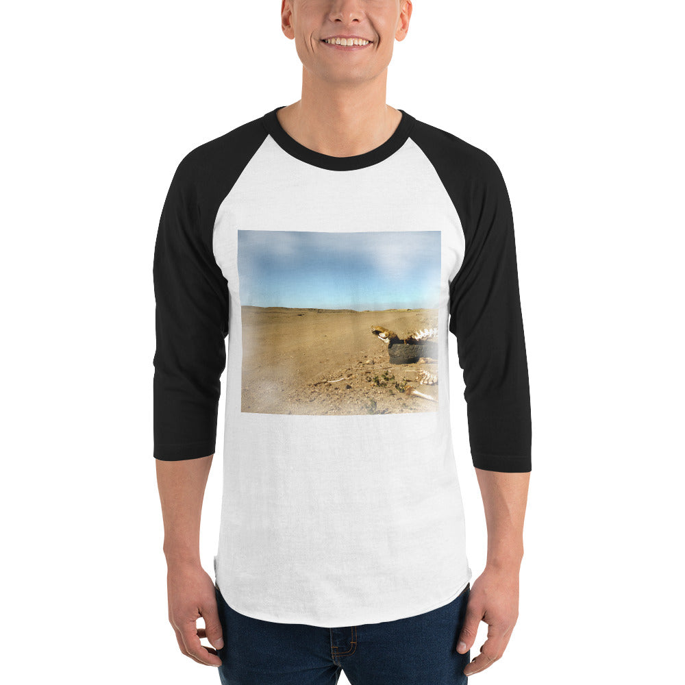 3/4 sleeve raglan shirt