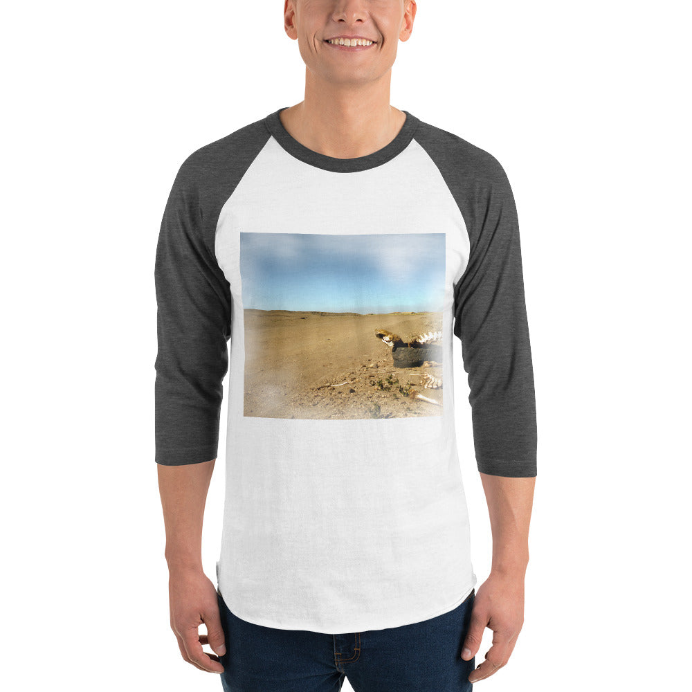 3/4 sleeve raglan shirt