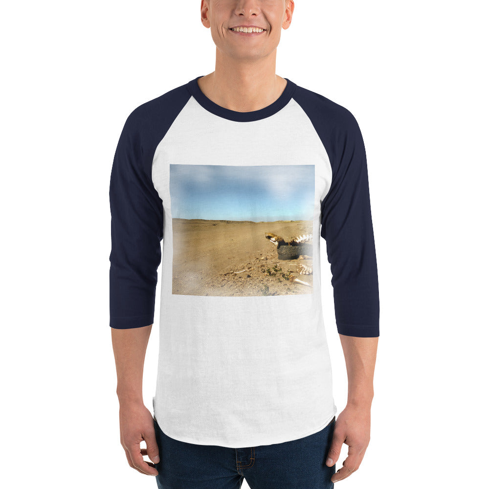 3/4 sleeve raglan shirt