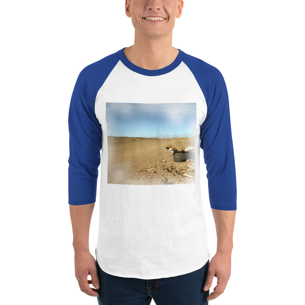 3/4 sleeve raglan shirt